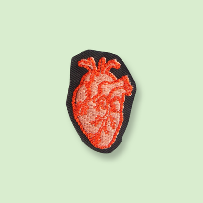 Anatomisk hjerte